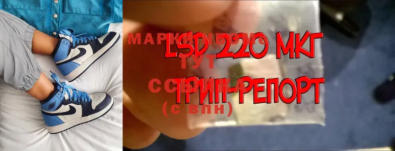 цены   Камышин  Марки 25I-NBOMe 1,5мг 